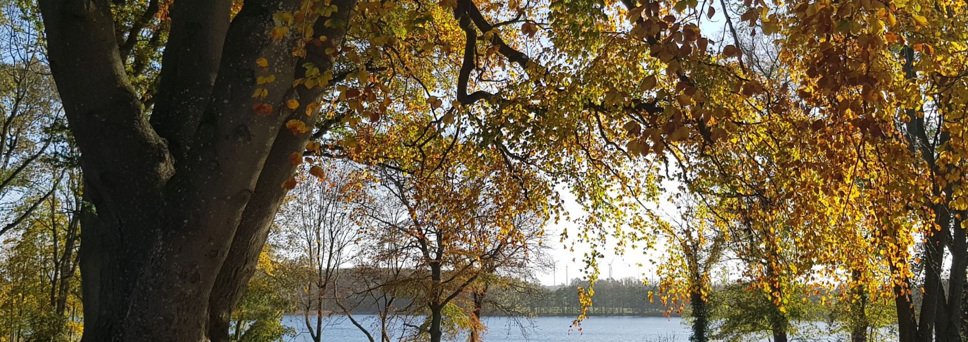 Blick zum See, © J. Janssen