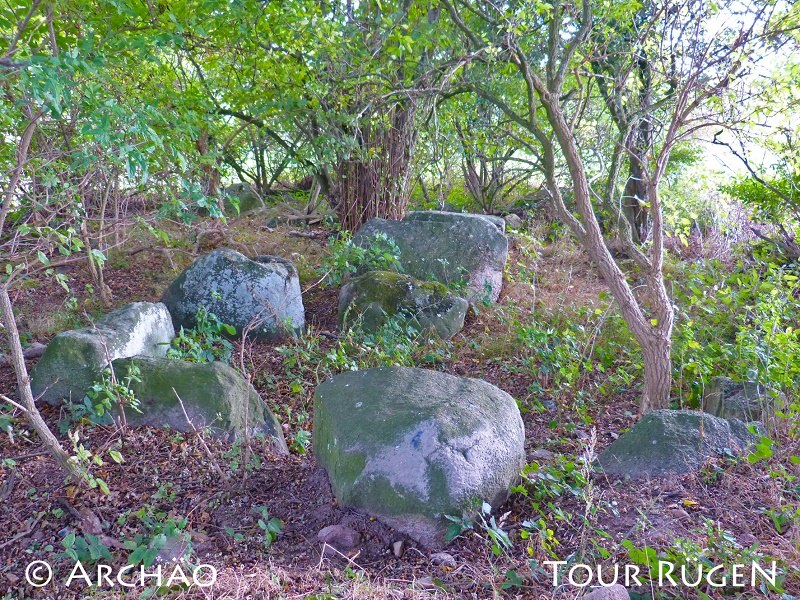 Blick auf das Großsteingrab "Teufelsstein" bei Seelvitz, © Archäo Tour Rügen