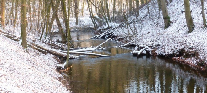 © Naturpark Nossentiner/Schwinzer Heide