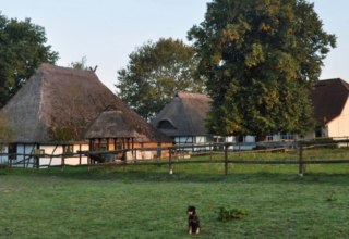 Pferdehof Schwalbennest: Ansicht unseres kleinen, familiär geführten Reiterhofes in Jörnstorf, wo Sie und Ihre Haustiere herzlich willkommen sind., © Pferdehof Schwalbennest/ Rauth