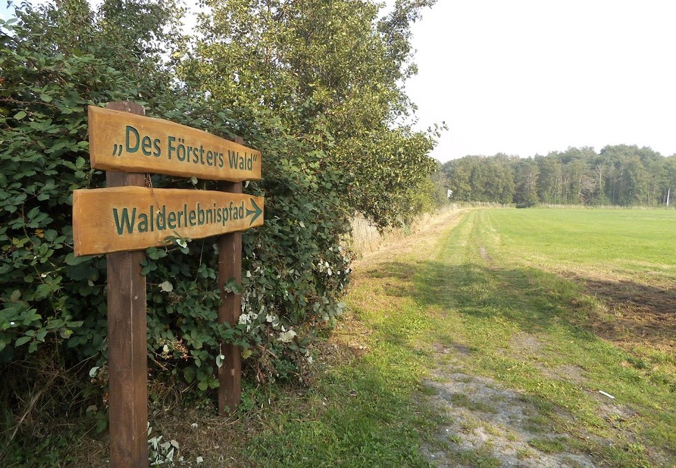 Hinweisschild zum Walderlebnispfad Ummanz, © Tourismuszentrale Rügen