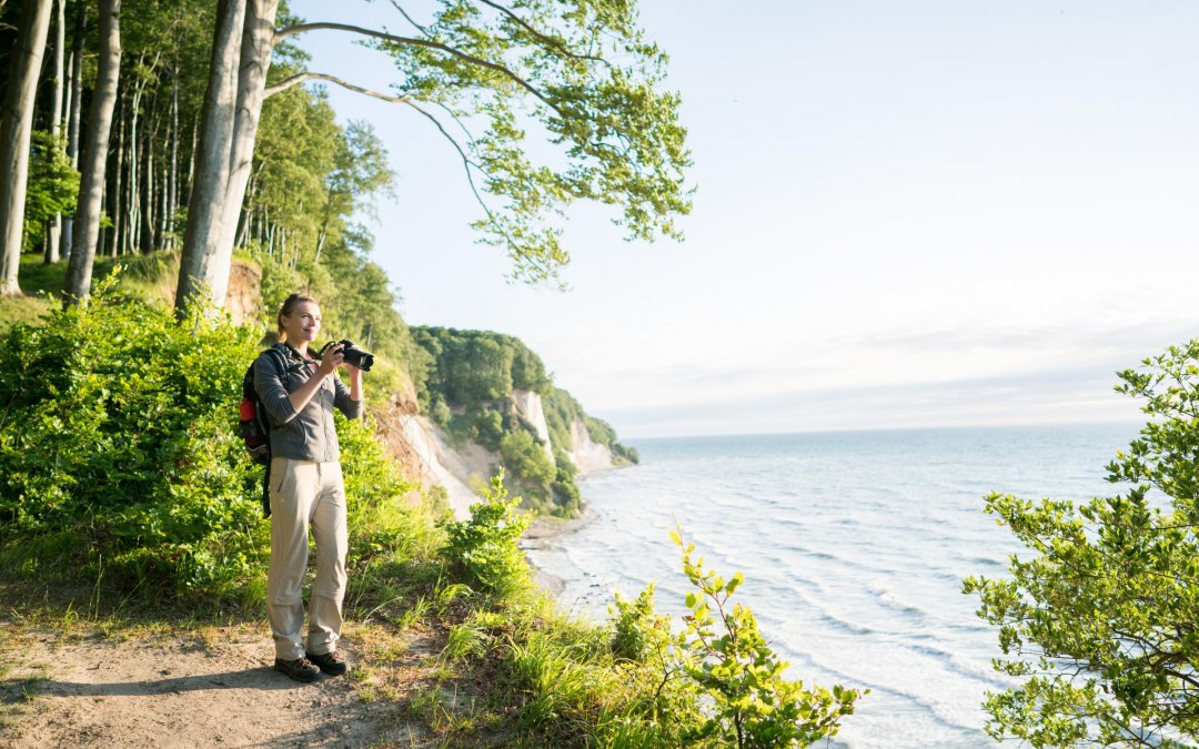 Im Einklang mit der Natur: Entdeckungsreise entlang des Hochuferwegs im majestätischen Nationalpark Jasmund, umgeben von den imposanten Kreidefelsen., © TMV/Roth