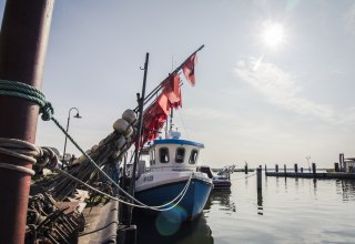 Fischerei und Touristik in Altwarp, © tvv@philipp_schulz