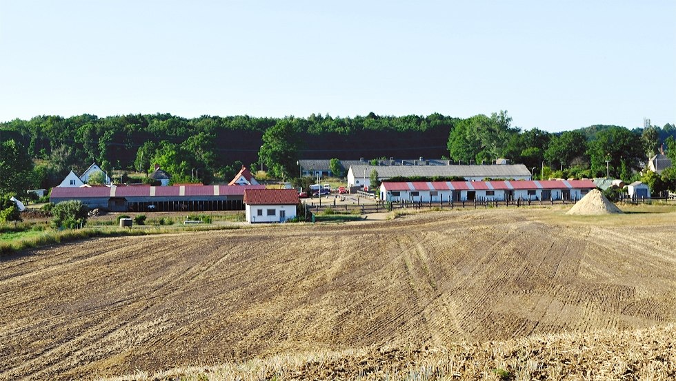 Zentral auf der Insel Rügen nahe der Ostseebäder gelegen: der Hof-Viervitz, © Hof-Viervitz/Hermann