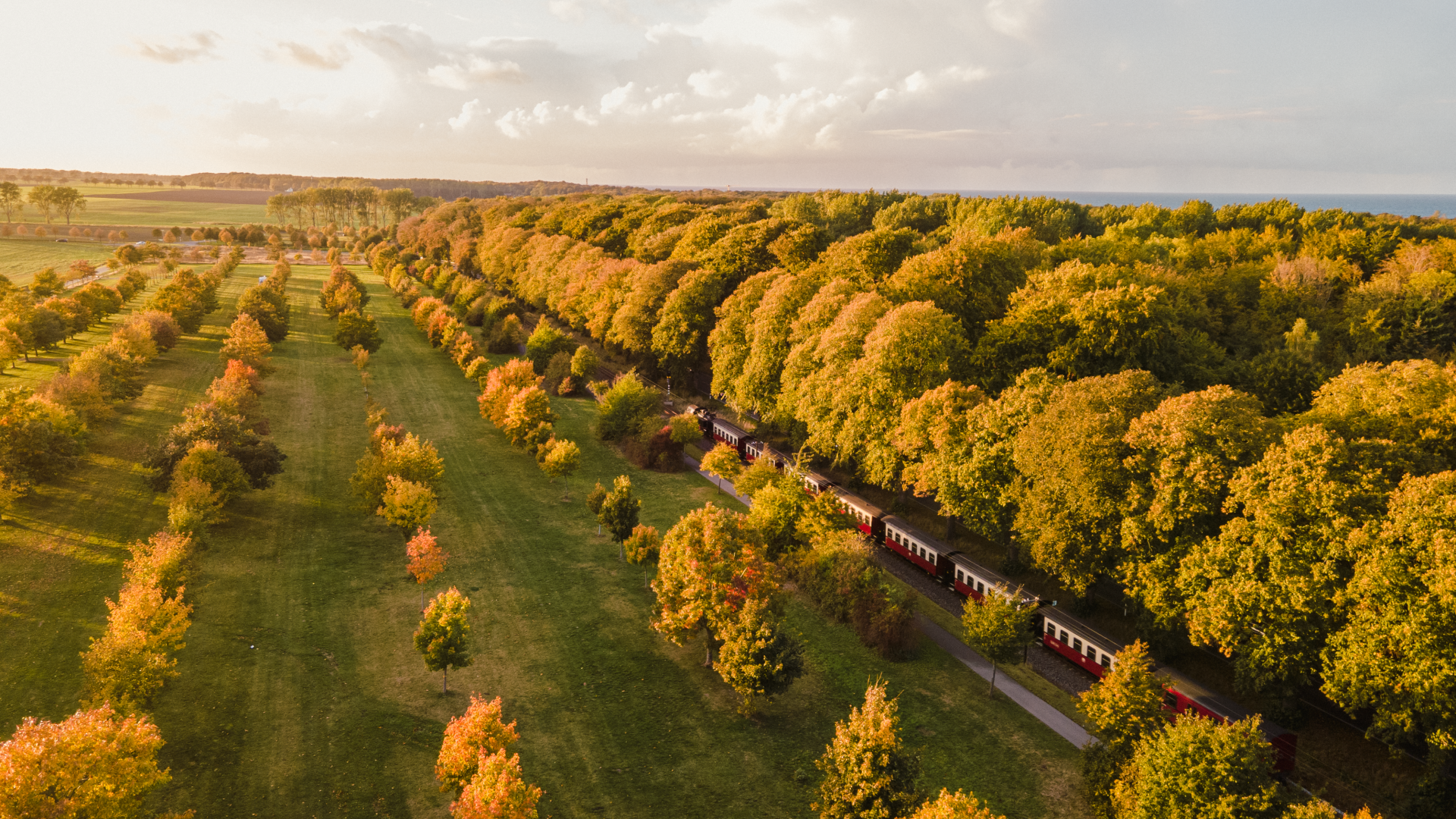 bummelt zwischen Wald und Wiese durch die Herbstlandschaft, © TMV/Witzel