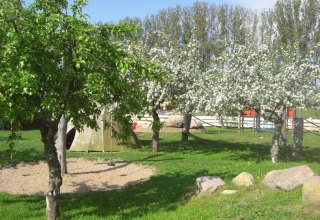 Frühling auf dem Eselhof, © Eselhof Schlage