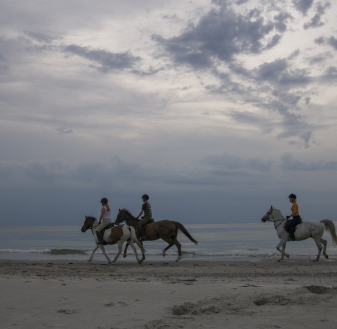 Einen Ausritt entlang des Ostseesaumes in der Abenddämmerung sicherlich ein Topabschluss eines Reiterlehrganges in Mecklenburg-Vorpommern, © TMV/ Hafemann