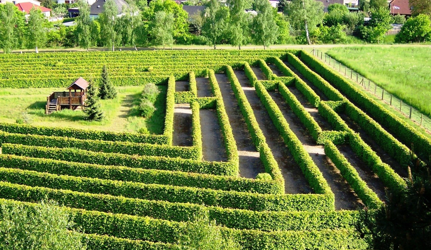 Irrgarten am Waldeck in Dargun, © Stadt Dargun