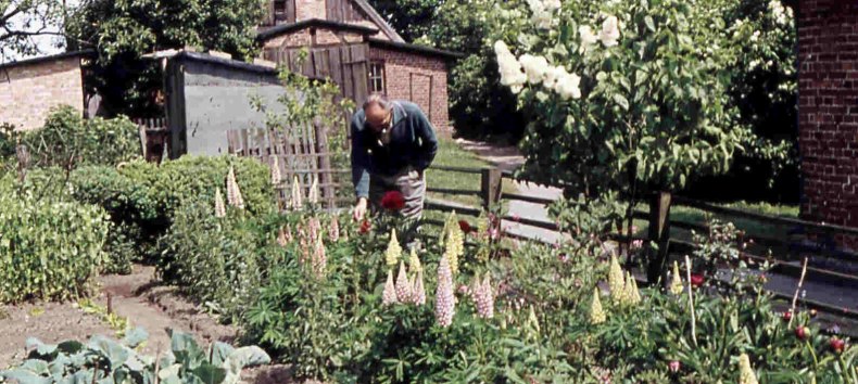 Nutzgarten am Langen Haus im Kloster Rambin, um 1965, © Hans Austel