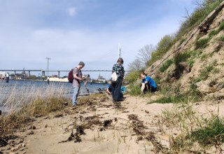 Freiwillige des NABU Stralsunds bei einer Müllsammelaktion., © NABU Stralsund