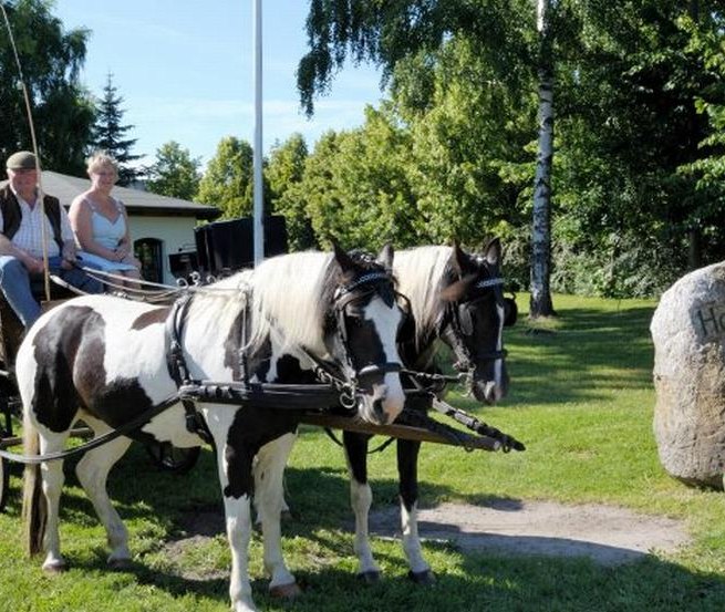 Start der Kutschfahrt, © Hof Thomsen