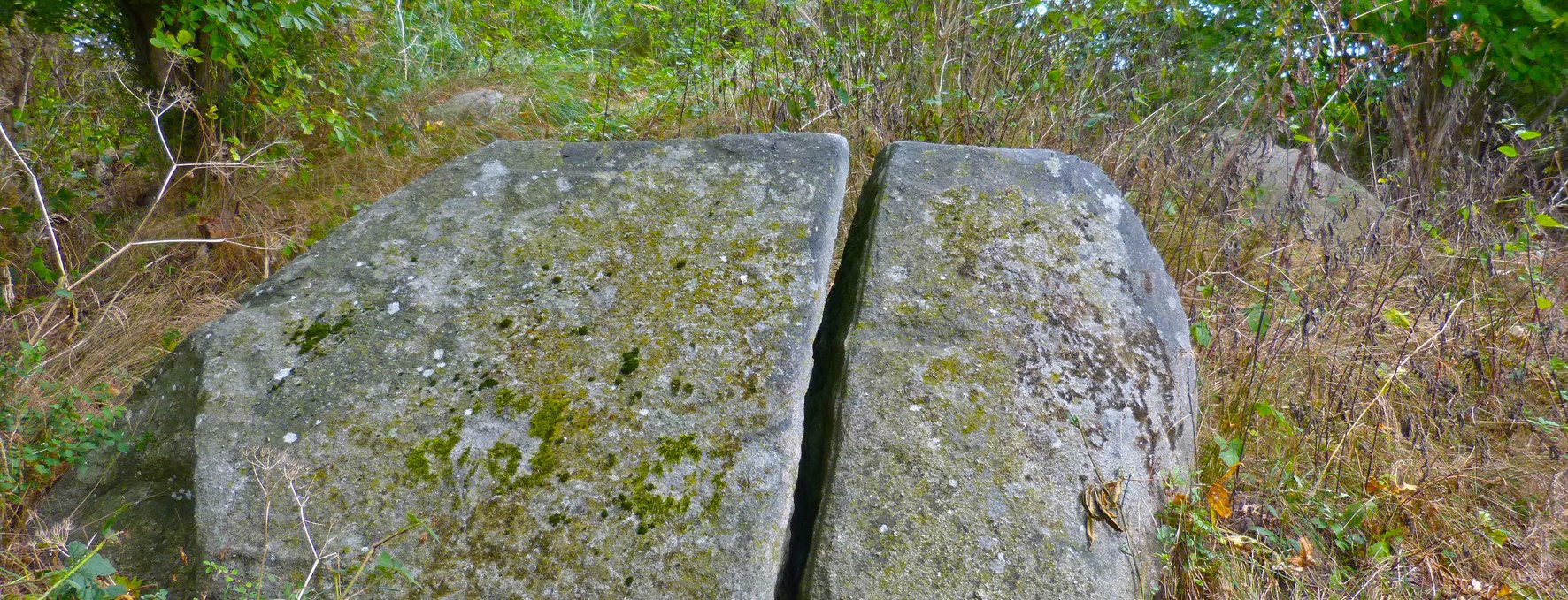 Das Großsteingrab "Blocksberg" bei Posewald, © Archäo Tour Rügen