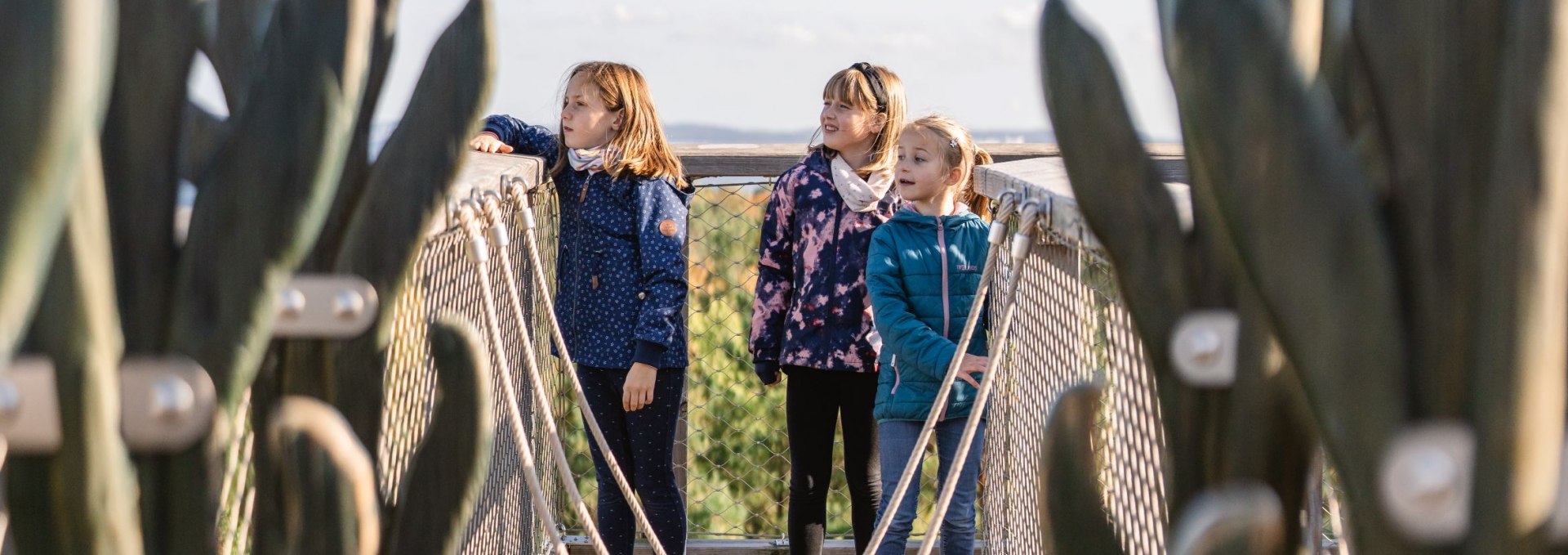 Drei Kinder stehen auf einer Hängebrücke zwischen zwei geschnitzten Holzskulpturen auf einem Baumwipfelpfad.