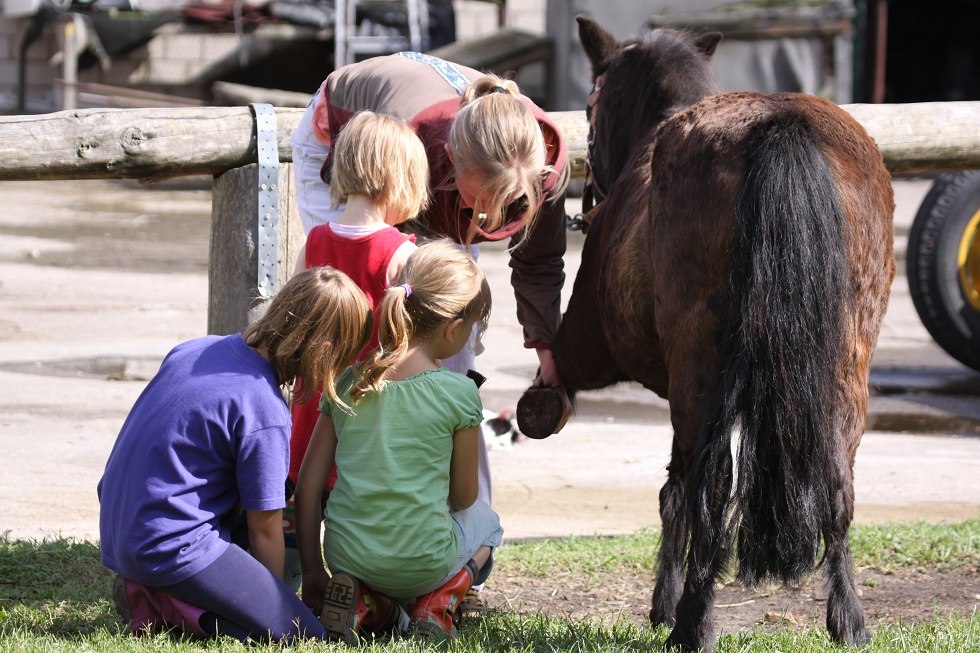 Kinder lernen bei uns von der Pike auf den richtigen Umgang mit Pferden, © Waldhof Bruchmühle