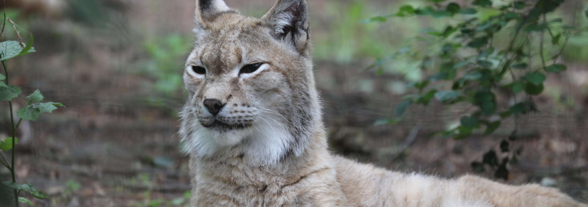 Mikroabenteuer, © Zoo Rostock/Brandt