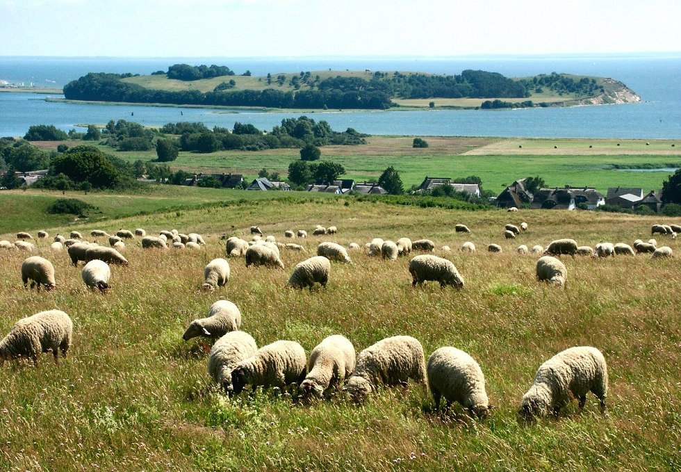 Blick vom Bakenberg zur Insel Vilm, © Tourismuszentrale Rügen