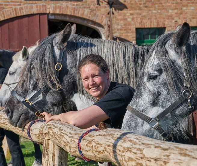 Spanish-Norman Horses vor dem Kornspeicher auf dem Gestüt Herian, © Michael Schauenberg