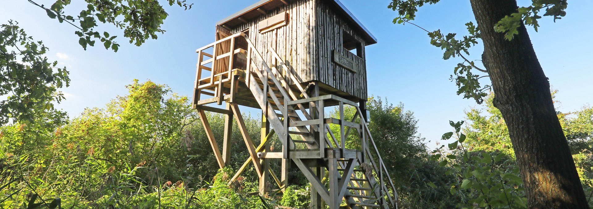 Aussichtskanzel Seeadler_4, © TMV/Gohlke