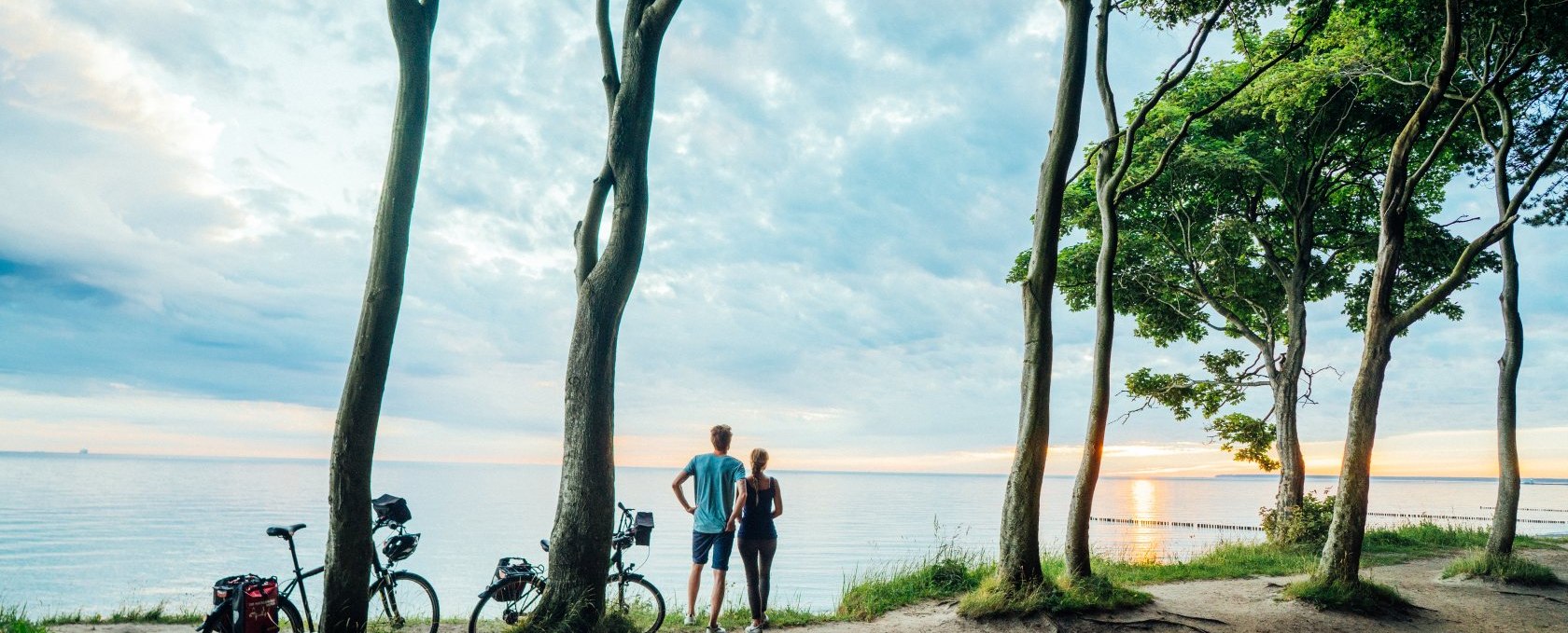 Mit dem Fahrrad entlang der Ostseeküste in Mecklenbuurg-Vorpommern durch den Gespensterwald., © TMV/Gänsicke