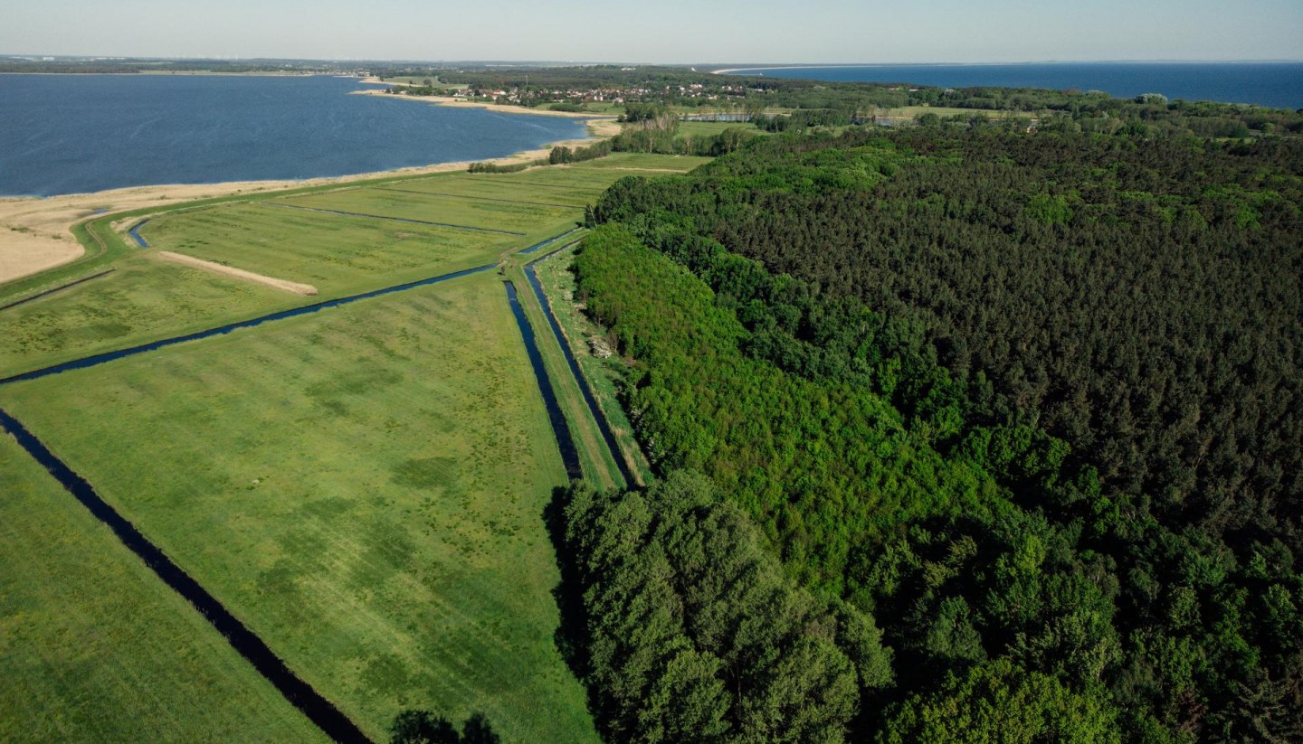 Klimawald auf der Insel Usedom bei Damerow, © TMV/Petermann