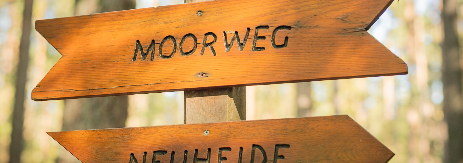 Wildwoche Graal-Müritz | Moorwanderung, © André Pristaff / Tourismus- und Kur GmbH Graal-Müritz