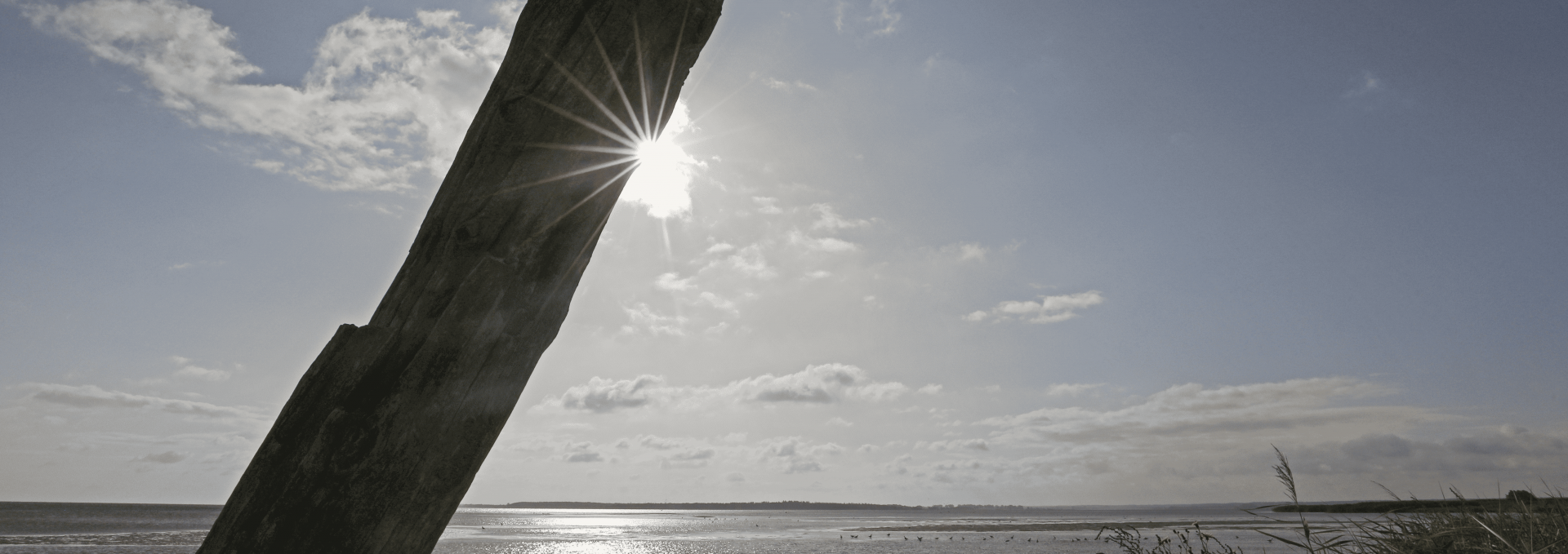 Naturstrand Wampen, © TMV/Gohlke