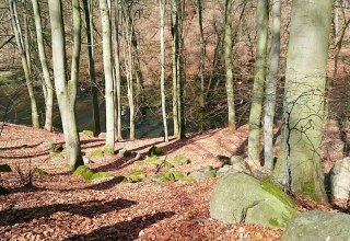 Gesteine verschiedenster Größen finden sich im Warnow-Durchbruchstal, © TMV