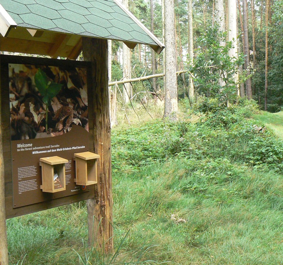Infotafel des Walderlebnispfades, © Nationalparkamt Müritz