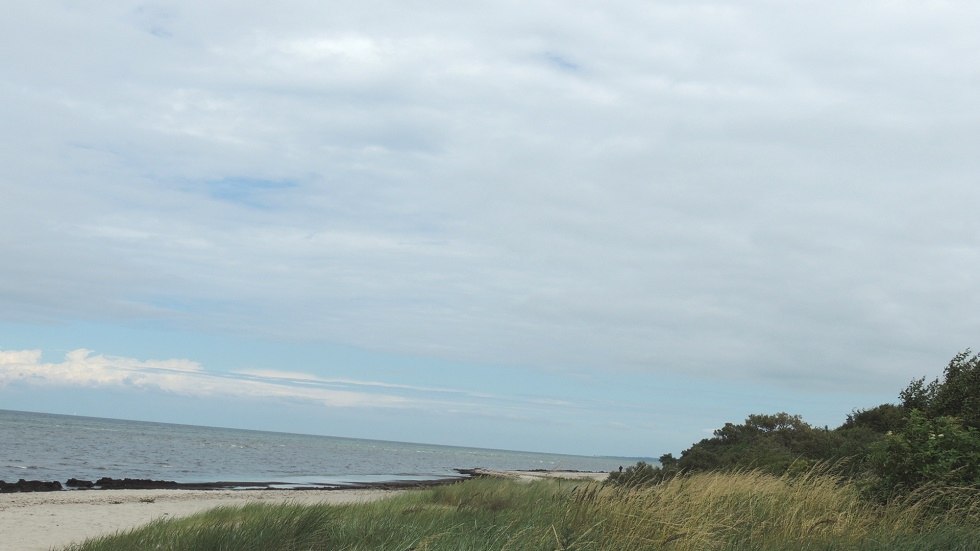 Blick Naturstrand, © Kurverwaltung Insel Poel