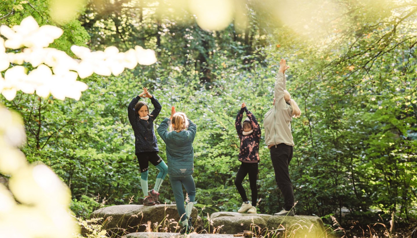 Eine Gruppe von Kindern und einem Erwachsenen praktiziert Yoga im Wald, stehend auf großen Steinen, umgeben von grünem Laub.