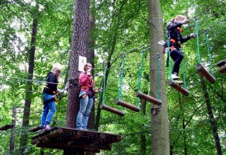 Kletterwald, © Sabrina Wittkopf-Schade