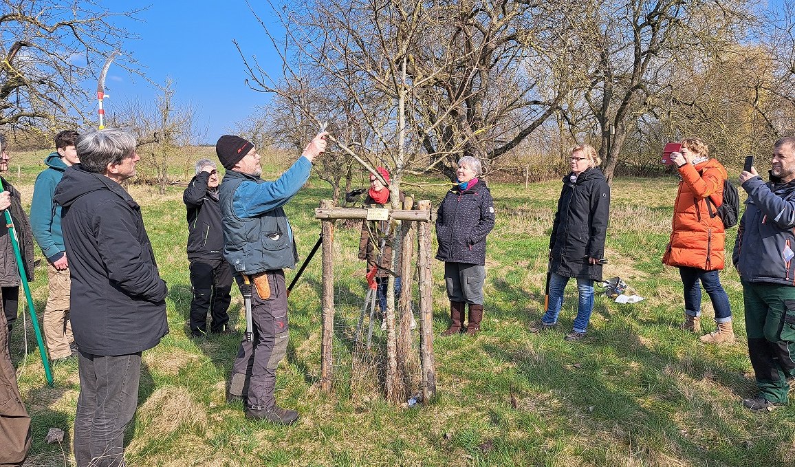 beim Obstschnittseminar 2024 in Kobrow, © Jan Lippke