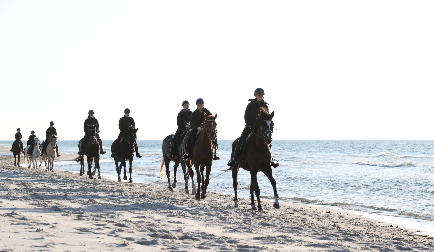 Reiten am Strand, © TMV/ACP Pantel