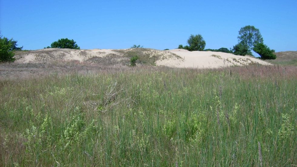 Binnendünen bei Altwarp im Landkreis Vorpommern-Greifswald, © Wanderagentur HARIDO