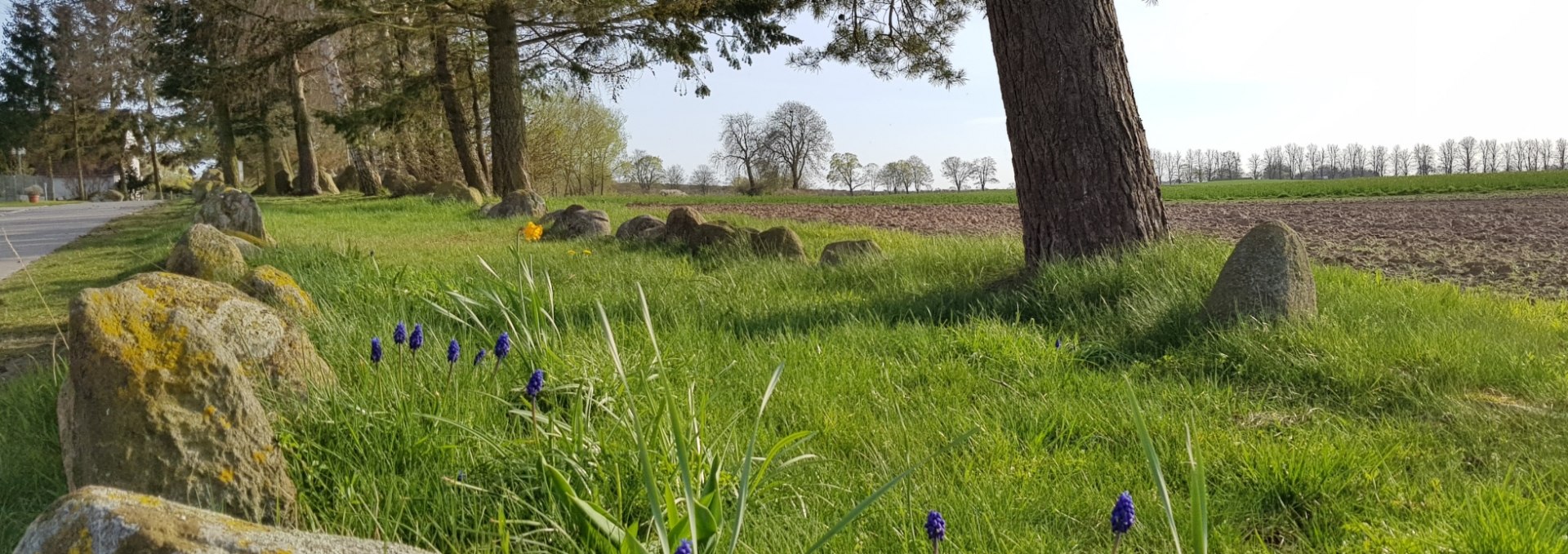 Hünenbett Stralendorf, © Tourismusverband Mecklenburg-Schwerin