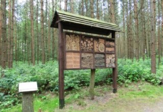 Insektenhotel im Wald der Sinne, © Baltzer