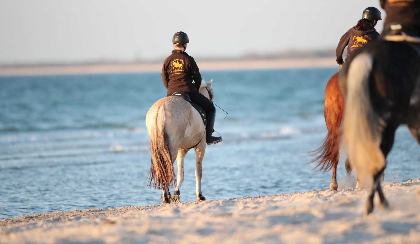 Reiten am Strand, © TMV/ACP Pantel