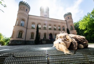 Puppenspielführung mit Schlosshund Waldi von und mit Birgit Schuster, © (c) SSGK M-V, Foto: Peter van Heesen