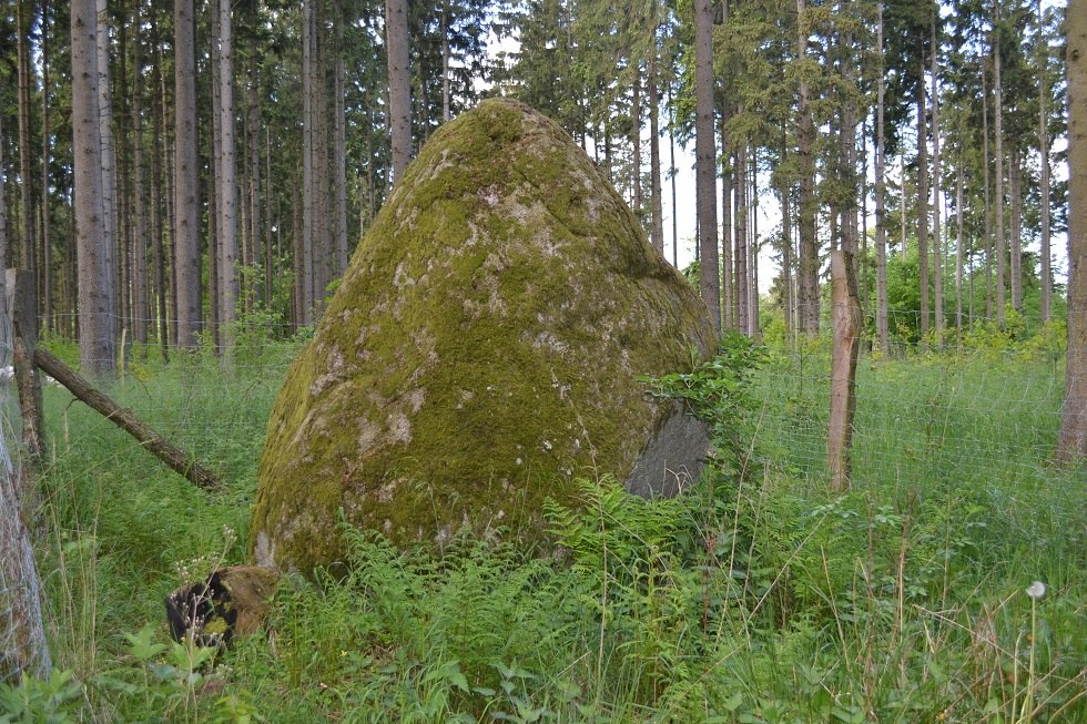 1. Findling in imposanter Größe, © Lutz Werner