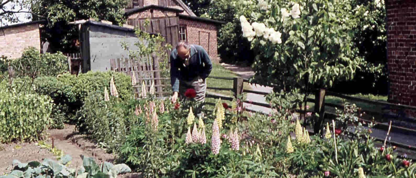 Nutzgarten am Langen Haus im Kloster Rambin, um 1965, © Hans Austel