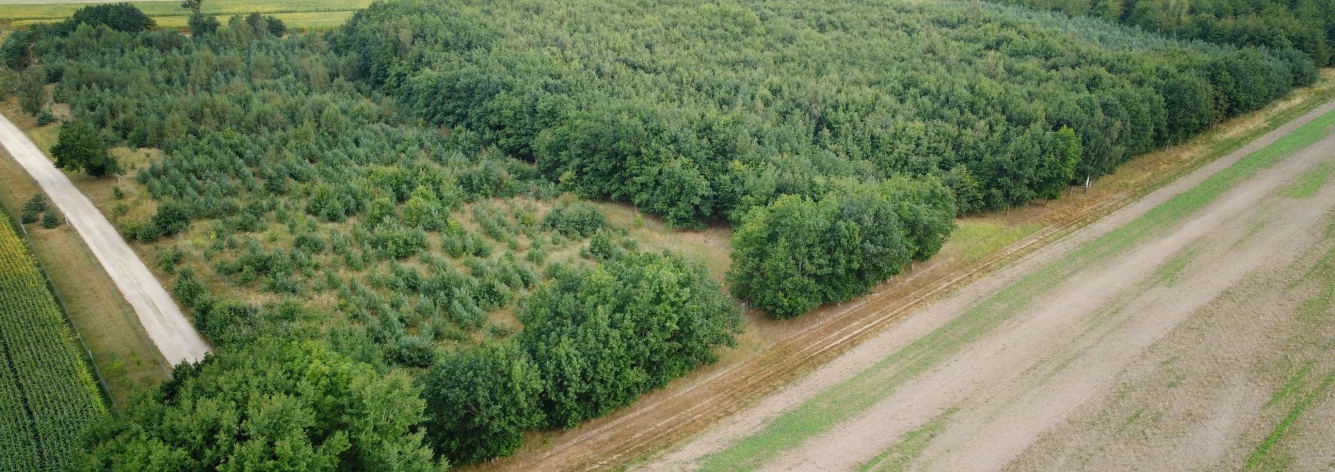 Klimawald Haidhof - Aufforstungsetappen, © Landesforst MV