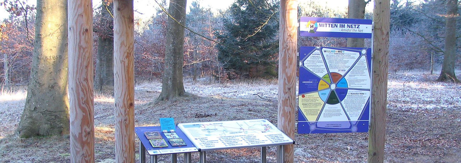 Entdecken, Forschen und Spielen in der Rostocker Heide, © Stadtforstamt Rostock/P. Kuhr