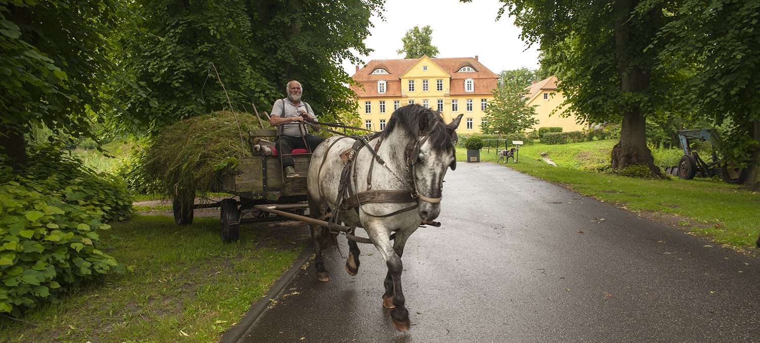 Pferdewagen vor Schloss Lühburg, © Christin Drühl