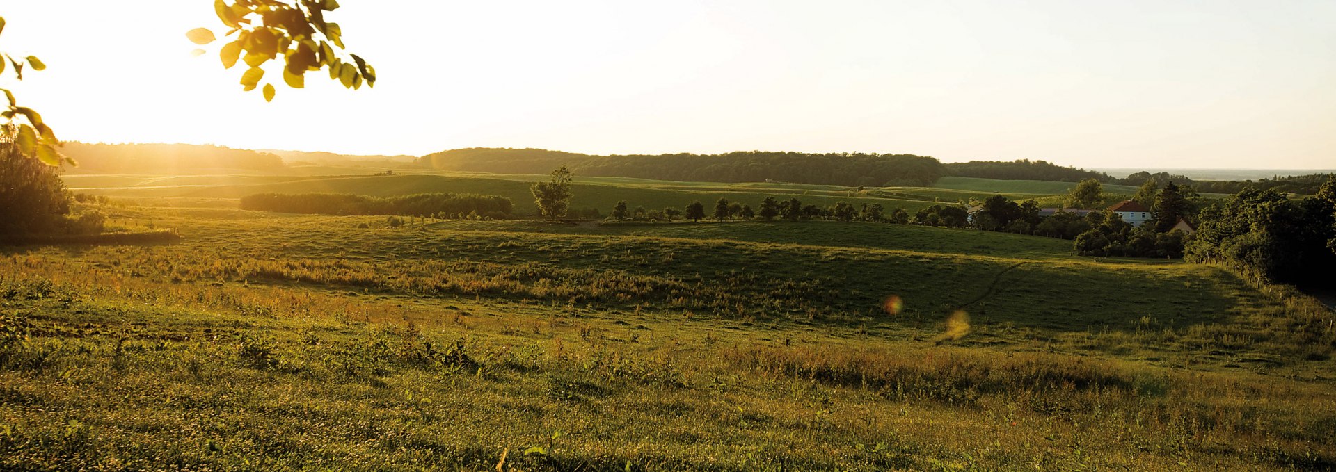 Die idyllische Landschaft Klepelshagens, © Gourmet Manufaktur Gut Klepelshagen