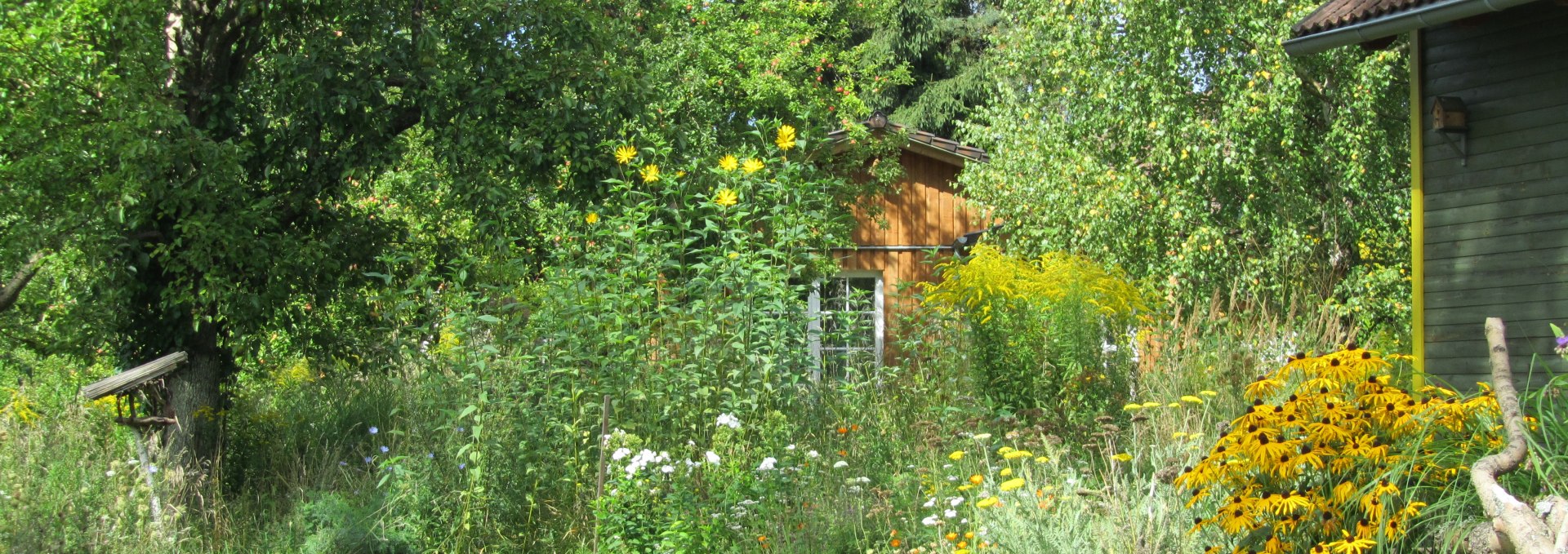 Terrasse vom Weidenhaus - eingewachsen in "wilder" Natur, © Ewald Krombholz