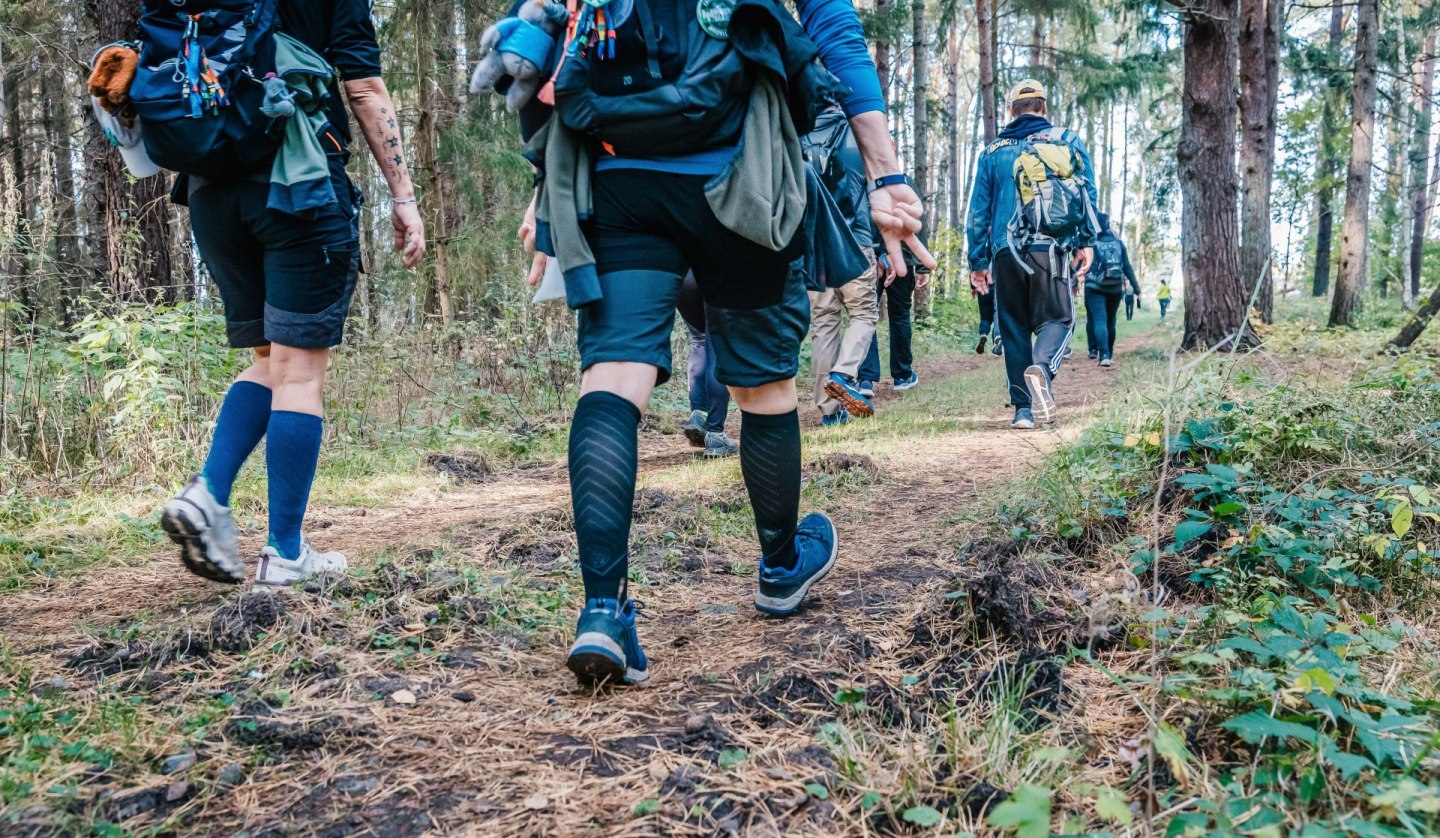 Wanderer beim Megamarsch Rügen 2024 unterwegs durch den Wald, © TVR / Mirko Boy