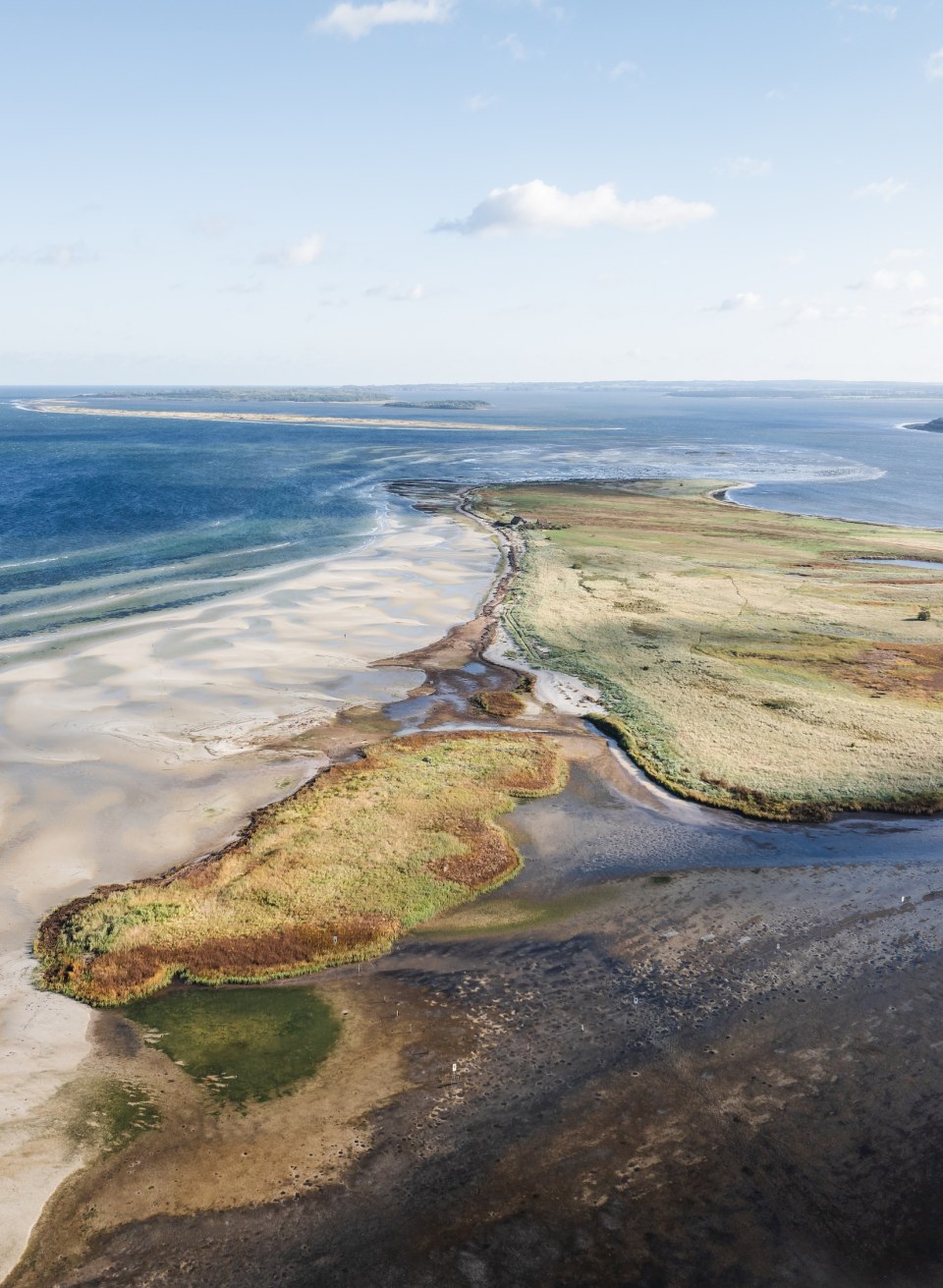   Luftaufnahme der Küste bei Gollwitz auf der Insel Poel mit Sandbänken und grünem Küstenstreifen.