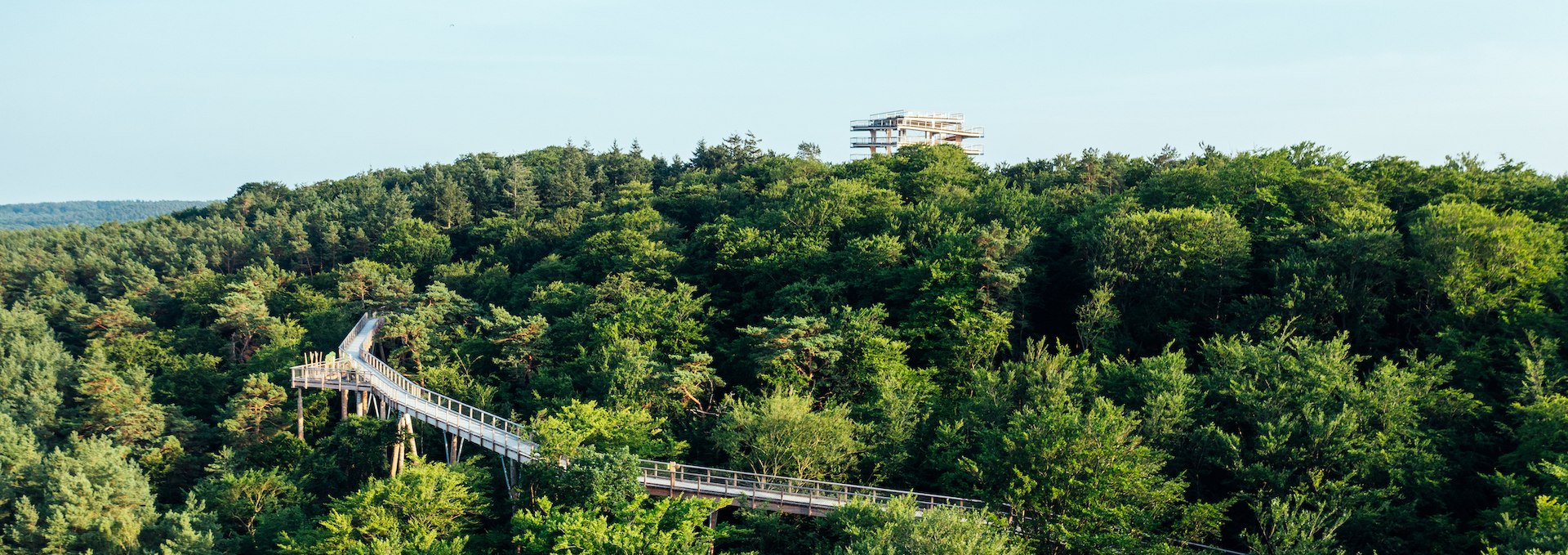 Der Baumwipfelpfad auf der Insel Usedom aus der Luft im Wald eingebettet und mit Blick auf die Ostsee., © TMV/Gänsicke