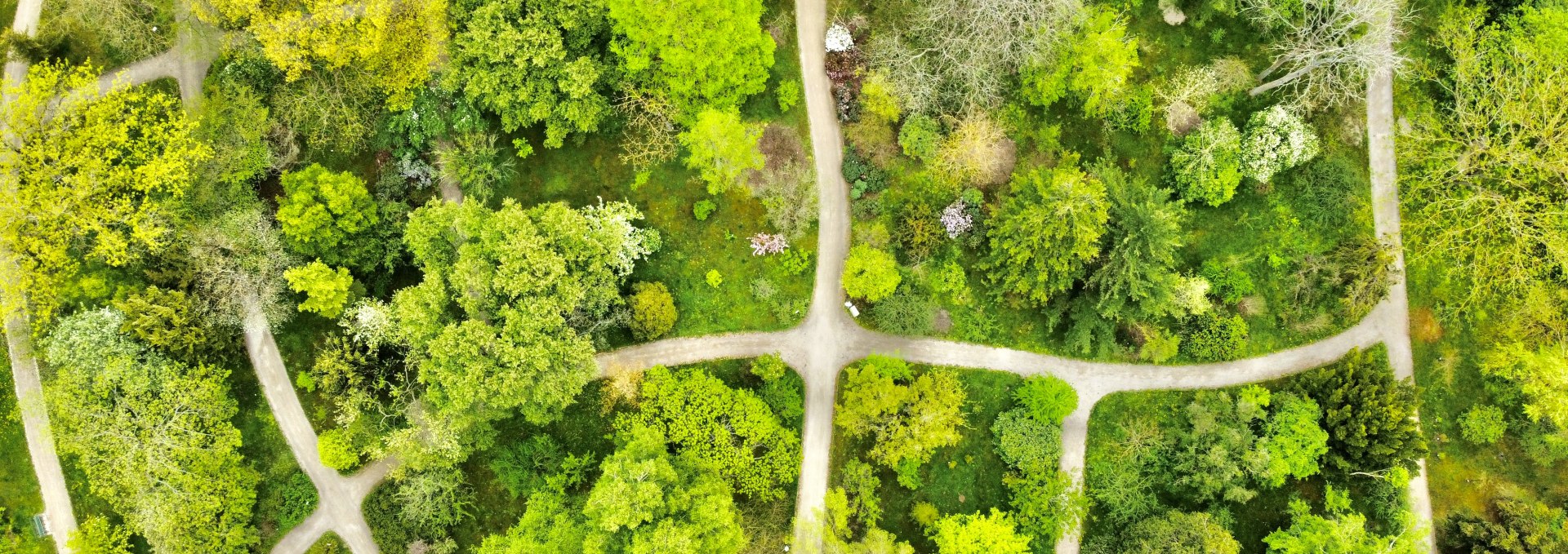 Arboretum von oben, © Gudrun Koch