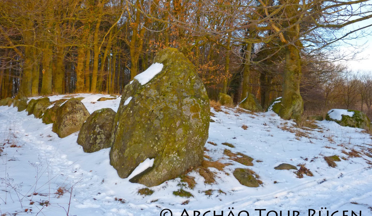 Das Hünengrab von Dwasieden aus der Zeit um 3000 v. Chr., © Archäo Tour Rügen